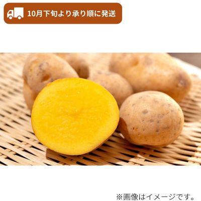 53_2509_mikaku_026