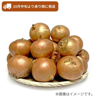 53_2509_mikaku_027