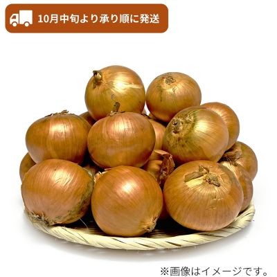 53_2509_mikaku_028