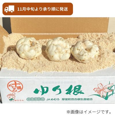 53_2509_mikaku_032