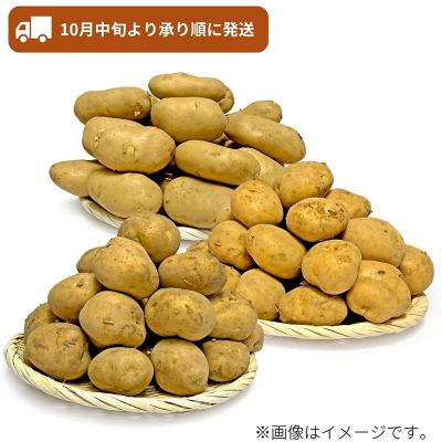 53_2509_mikaku_037