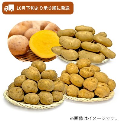 53_2509_mikaku_038