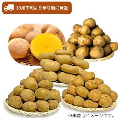 53_2509_mikaku_041