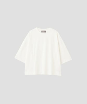 カットソー　ＬＩＧＨＴ　ＤＥＮＳＥ　ＣＯＴＴＯＮ　ＪＥＲＳＥＹ　５７８５１６８００６
