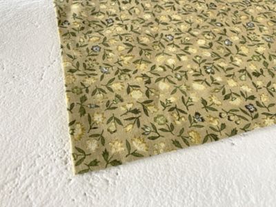 ＣＯＴＴＡＧＥ　ＦＬＯＷＥＲ　ＢＡＮＤＡＮＮＡ