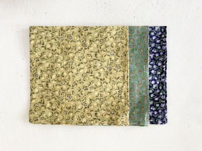 ＣＯＴＴＡＧＥ　ＦＬＯＷＥＲ　ＢＡＮＤＡＮＮＡ