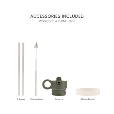 水筒（250ml） Dino | Citron (Baby&Kids)/シトロン