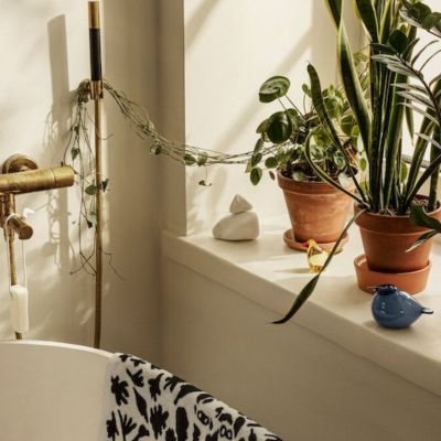 バード　バイ　トイッカ　シエッポ　各色