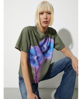 ＜MAX&Co.＞ヴァロイス　プリント　コットン　Ｔシャツ　６９７６０１５１０２
