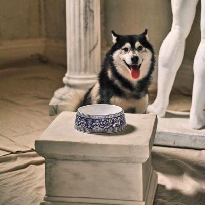 フロレンティーン マリン ペットボウル17cm | WEDGWOOD/ウェッジ