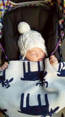 シュニールコットン ミニブランケット ベングトのムース ネイビー