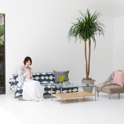 シュニールコットン　シングルブランケット　マーガレットローズ　ネイビー