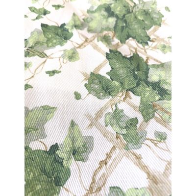 ★エプロン　Ｈｅｄｅｒａ