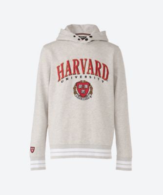 【SALE】UNIVERSITIES HARVARD プルパーカ M6366 ．000．23464 ASH GREY MELANGE トップス