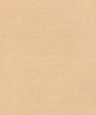 Ｅａｒｔｈ　Ｍａｄｅ　ガーメントダイ　グラデーションＴシャツ　Ｍ６５９０　．０００．２３５４６Ｄ