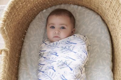 スワドル（おくるみ）2枚入り | aden+anais (Baby&Kids