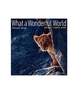 岩合光昭/イワゴウ ミツアキ 岩合光昭写真集『この素晴らしき世界　Ｗｈａｔ　ａ　Ｗｏｎｄｅｒｆｕｌ　Ｗｏｒｌｄ』