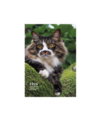 岩合光昭/イワゴウ ミツアキ ２０２６　岩合光昭　ねこ手帳