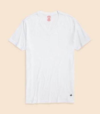 スーピマコットン　ＧＦロゴ　３パック　ＶネックＴシャツ　Ｔｒａｄｉｔｉｏｎａｌ　Ｆｉｔ　１００２２４２３７