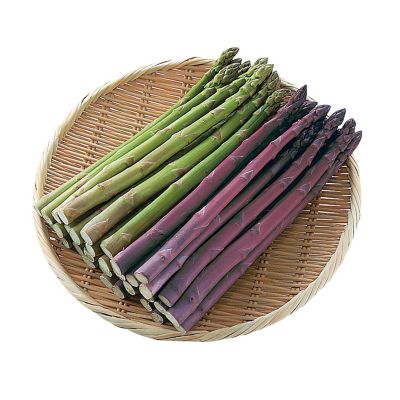 A5_30_704053_tsuruno_an1