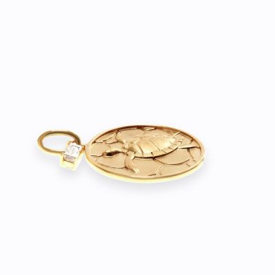 Ｎａｔｕｒｅ　Ｃｏｉｎ　Ａｏｕｍｉｇａｍｅ