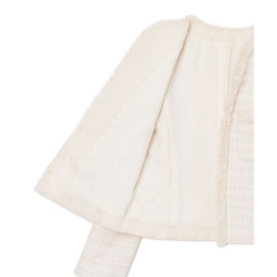 Eternal Line 2024】ミックスツイードノーカラー