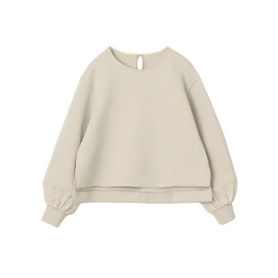ANAYI tシャツ ダブルジャージー袖シアープルオーバー