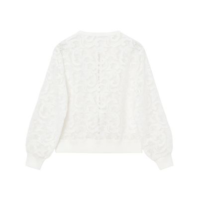 美品✨アナイ 24SS ブルゾン レース エンブロイダリー ノーカラー 白 M 美品✨アナイ 24SS ブルゾン レース エンブロイダリー ノー