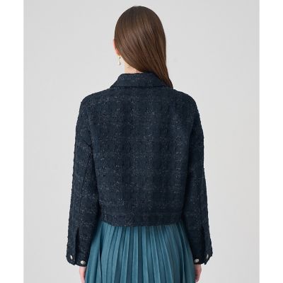 セットアップ対応商品】ヴィシーチェックツイードブルゾン | ANAYI