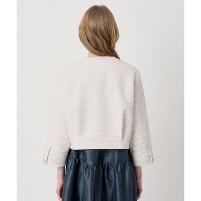 セットアップ対応商品】ドビーツイードノーカラーブルゾン | ANAYI