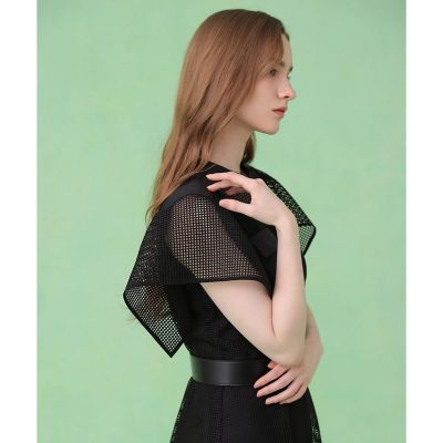 メッシュラッセルフレア袖 ワンピース | ANAYI/アナイ | 三越伊勢丹