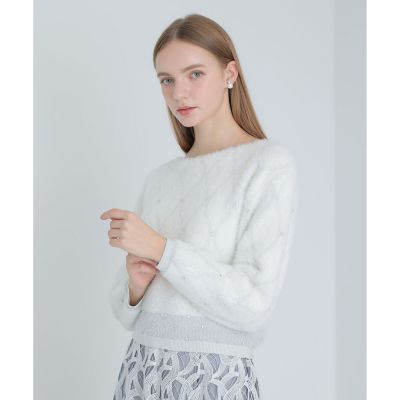 ＜ANAYI＞フェザージャカードビジュー　プルオーバー