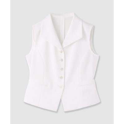 トリアセツイル衿付きジレ〈セットアップ対応商品〉 | ANAYI/アナイ