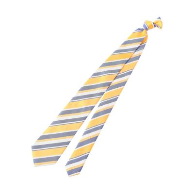 ＜Paul Stuart (Men)＞ネクタイ／ストライプ柄