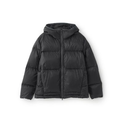 ピケダウンジャケット | LACOSTE/ラコステ | 三越伊勢丹オンライン