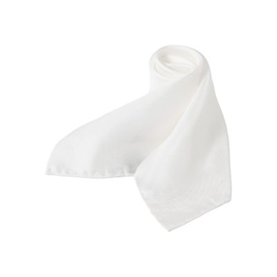 Paul Stuart (Men)/ポール・スチュアート 【Ｎｉｋｋｅｉ　ｍａｇａｚｉｎｅ掲載】シルクスカーフ