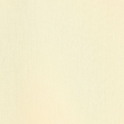 クリスタルコットン　ハーフスリーブブラウス