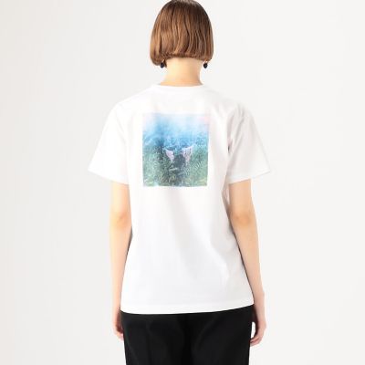 【別注】Ｔａｋａｋｏ　Ｎｏｅｌ×ＴＯＭＯＲＲＯＷＬＡＮＤ　コットンバックプリント　ハーフスリーブプルオーバー