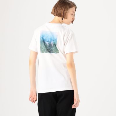 【別注】Ｔａｋａｋｏ　Ｎｏｅｌ×ＴＯＭＯＲＲＯＷＬＡＮＤ　コットンバックプリント　ハーフスリーブプルオーバー