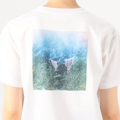 【別注】Ｔａｋａｋｏ　Ｎｏｅｌ×ＴＯＭＯＲＲＯＷＬＡＮＤ　コットンバックプリント　ハーフスリーブプルオーバー