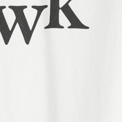 コットングラフィックプリント　Ｔシャツ