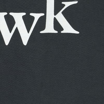 コットングラフィックプリント　Ｔシャツ
