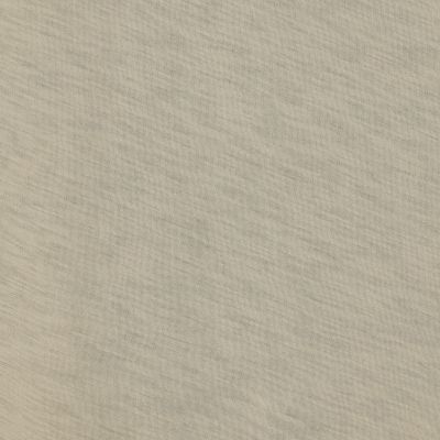 スラブジャージー　クルーネックＴシャツ　ＷＵＡ３０３７