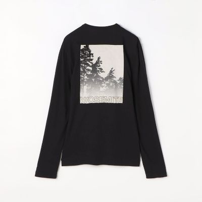 ＹＯＳＥＭＩＴＥ マウンテンプリントＴシャツ ＭＬＪ３３５１ＢＸ 