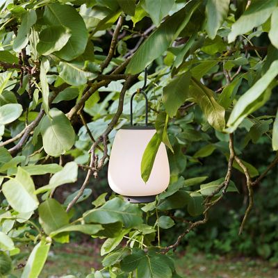 【受注商品】ＬＵＣＣＡ　ＳＣ５１　ＭＯＳＳ