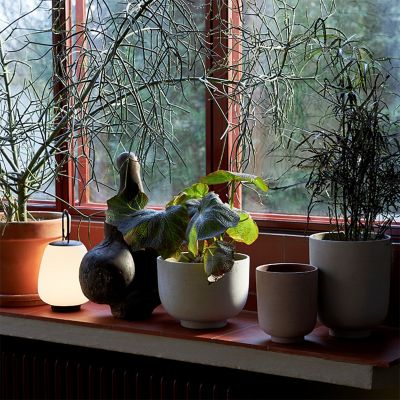 【受注商品】ＬＵＣＣＡ　ＳＣ５１　ＭＯＳＳ