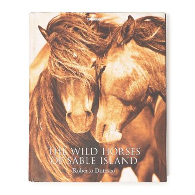 ＴＨＥ　ＷＩＬＤ　ＨＯＲＳＥＳ　ＯＦ　ＳＡＢＬＥ　ＩＳＬＡＮＤ　ＢＯＯＫ　ＡＢＫ２０９９