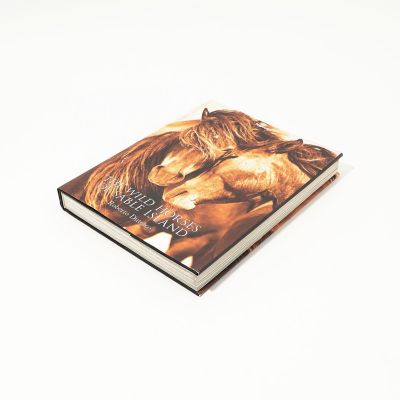 ＴＨＥ　ＷＩＬＤ　ＨＯＲＳＥＳ　ＯＦ　ＳＡＢＬＥ　ＩＳＬＡＮＤ　ＢＯＯＫ　ＡＢＫ２０９９