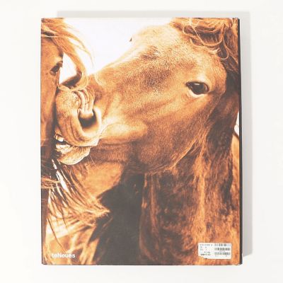 ＴＨＥ　ＷＩＬＤ　ＨＯＲＳＥＳ　ＯＦ　ＳＡＢＬＥ　ＩＳＬＡＮＤ　ＢＯＯＫ　ＡＢＫ２０９９