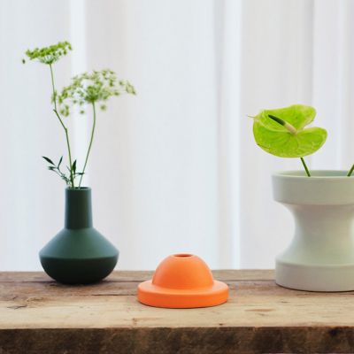 TCS．ファミリー オブ ベース サンセット フラワーベース オレンジ